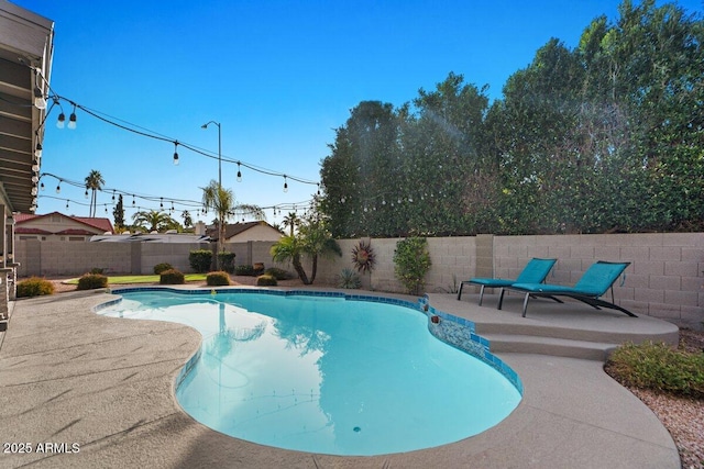 view of swimming pool featuring a patio area