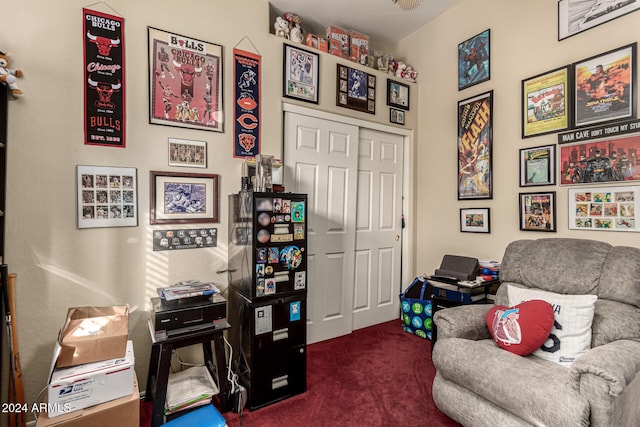 sitting room featuring dark carpet