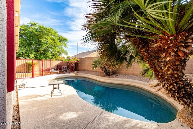 view of swimming pool with a patio area