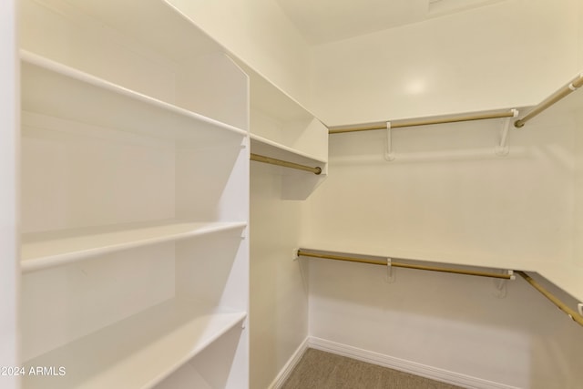 walk in closet featuring carpet floors