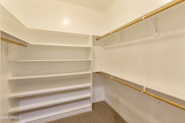 spacious closet with carpet flooring