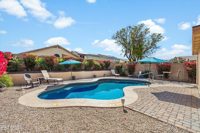 view of pool featuring a patio, a fenced backyard, and a fenced in pool