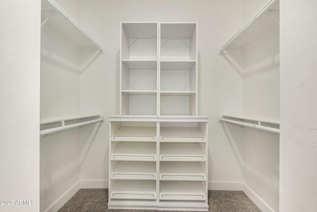 spacious closet with carpet floors