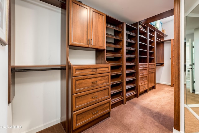 walk in closet featuring light colored carpet