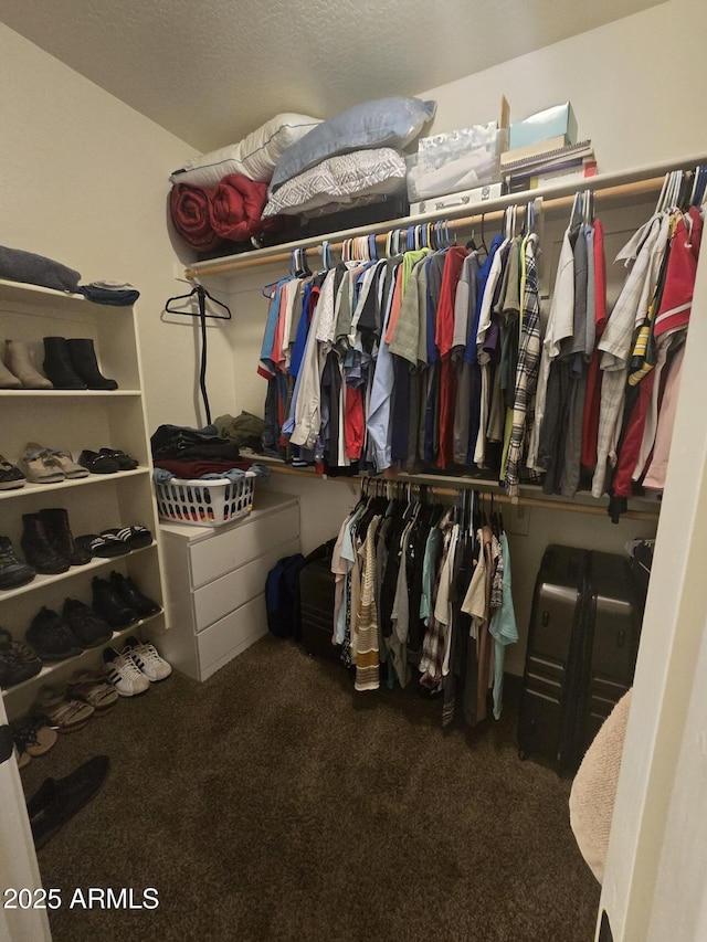 spacious closet with dark colored carpet