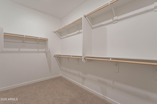 walk in closet featuring carpet flooring