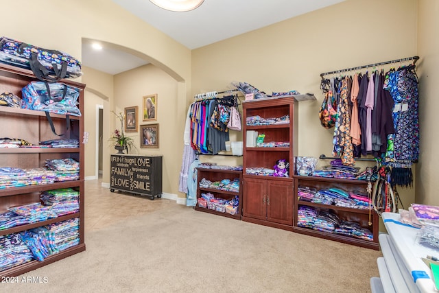 walk in closet with light carpet