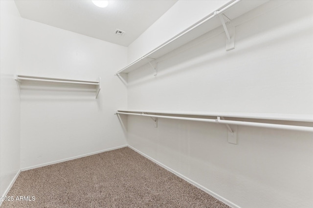 3310 W Chambers St, Phoenix, AZ 85041 - spacious closet with carpet floors