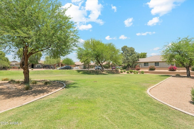 3310 W Chambers St, Phoenix, AZ 85041 - view of green lawn