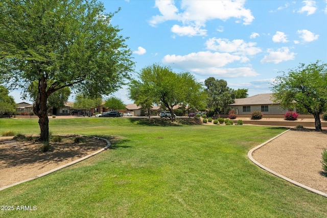 3310 W Chambers St, Phoenix, AZ 85041 - view of grassy yard