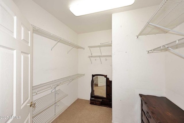 17630 N Somerset Dr, Surprise, AZ 85374 - spacious closet featuring carpet flooring