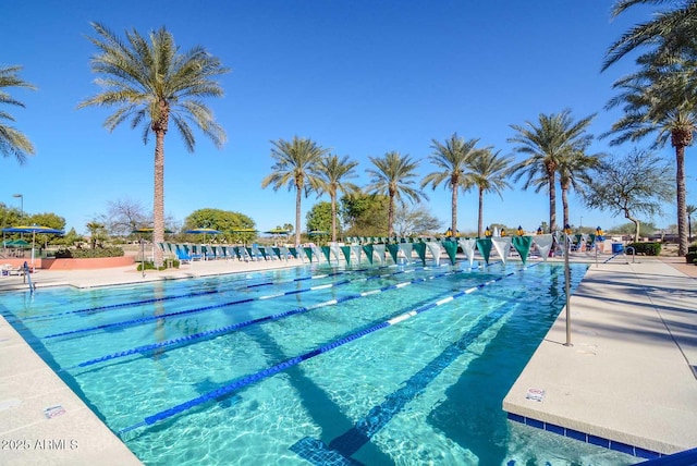 17630 N Somerset Dr, Surprise, AZ 85374 - view of community pool