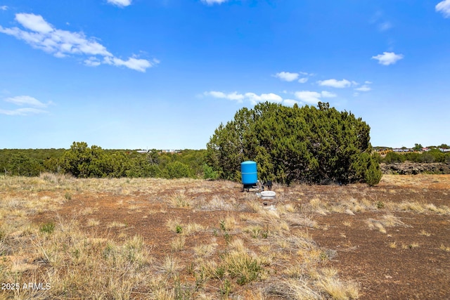 2101 N 6th St Unit 68, Show Low, AZ 85901