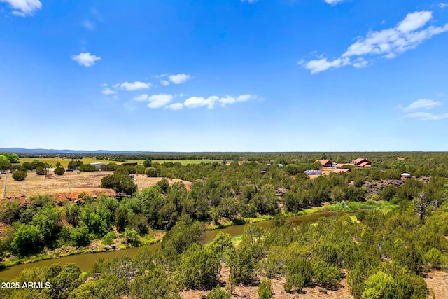 2101 N 6th St Unit 68, Show Low, AZ 85901