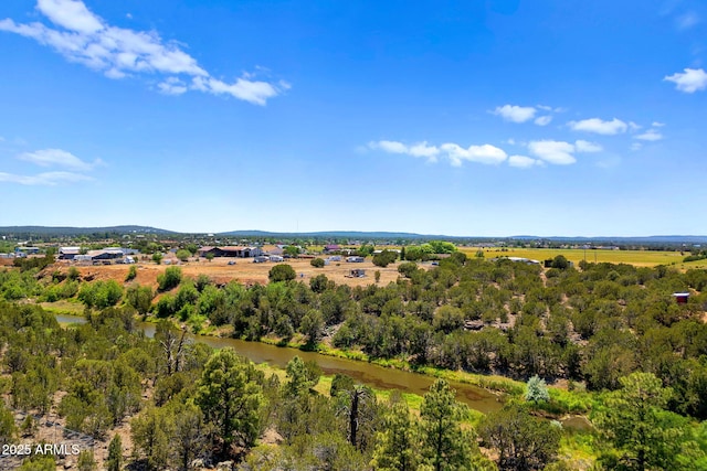 2101 N 6th St Unit 68, Show Low, AZ 85901