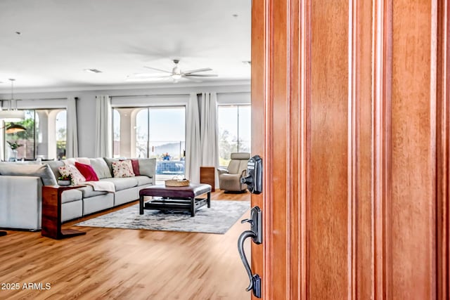 living room featuring ceiling fan, hardwood / wood-style floors, and a healthy amount of sunlight