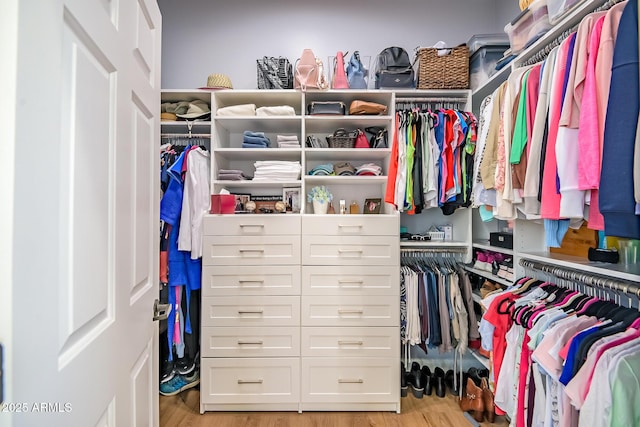 walk in closet featuring light wood-style floors