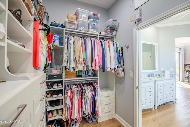 walk in closet with light wood-style flooring