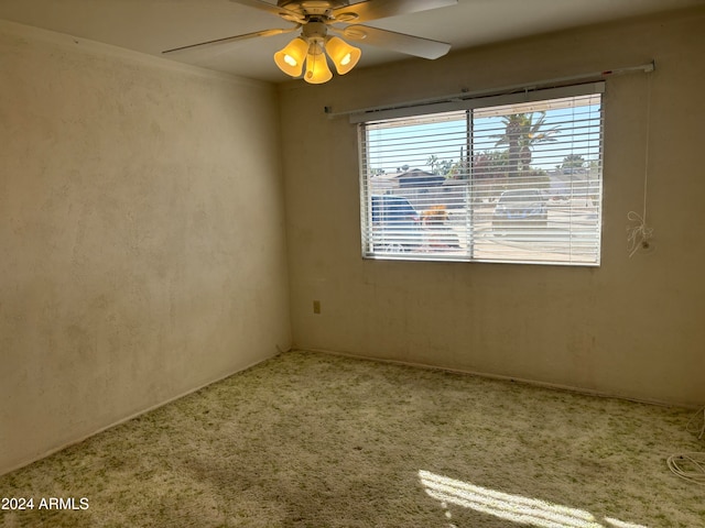 unfurnished room featuring carpet and ceiling fan