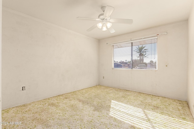 unfurnished room featuring ceiling fan and carpet floors