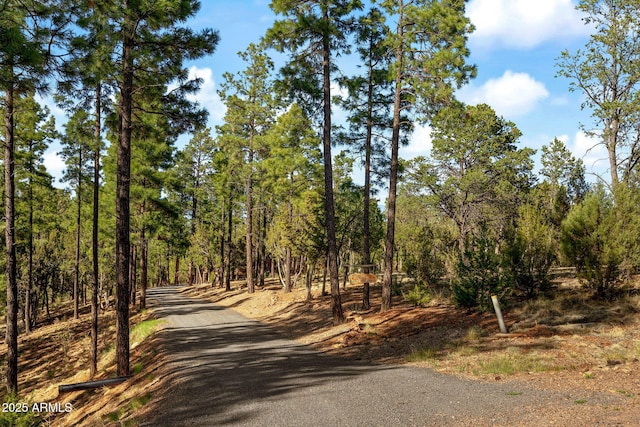 2352 Immelman Cir, Overgaard, AZ 85933 - view of road with a forest view