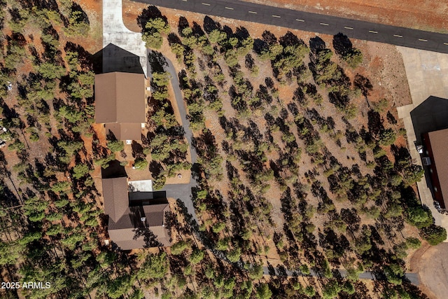 2352 Immelman Cir, Overgaard, AZ 85933 - bird's eye view