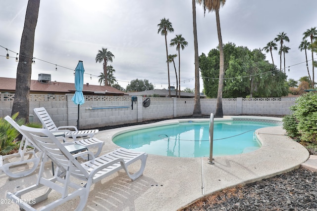 view of swimming pool