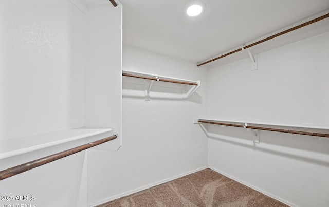 6923 W Laredo St, Chandler, AZ 85226 - spacious closet featuring carpet floors