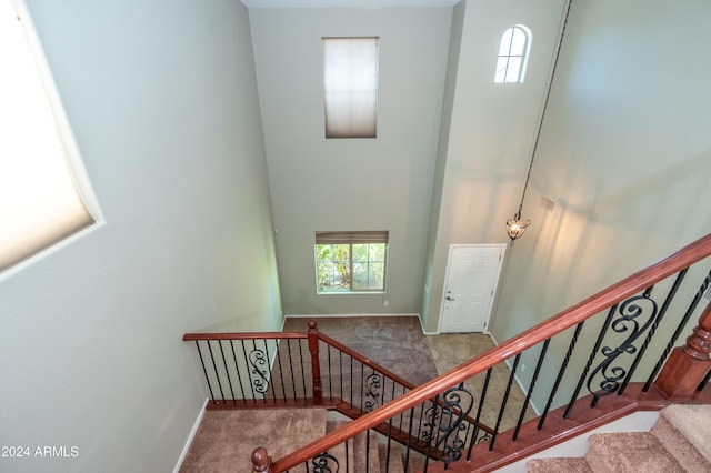 staircase with carpet flooring