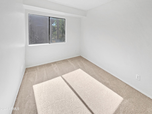 spare room with carpet floors