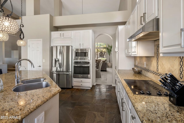 kitchen featuring light stone countertops, under cabinet range hood, decorative backsplash, stainless steel appliances, and a sink
