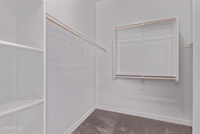 20274 W Monterey Way, Buckeye, AZ 85396 - walk in closet with carpet