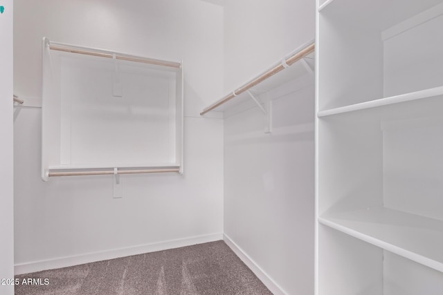 20274 W Monterey Way, Buckeye, AZ 85396 - walk in closet featuring carpet flooring