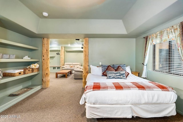 carpeted bedroom featuring a tray ceiling