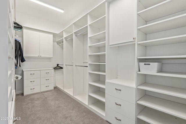 walk in closet with light colored carpet