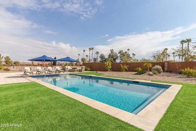 view of pool with a lawn and a patio area