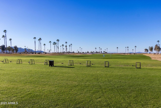 view of property's community with a yard