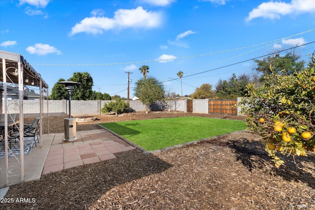 view of yard with a patio area