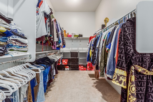 spacious closet with light carpet