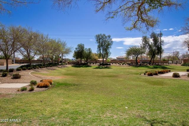 view of yard