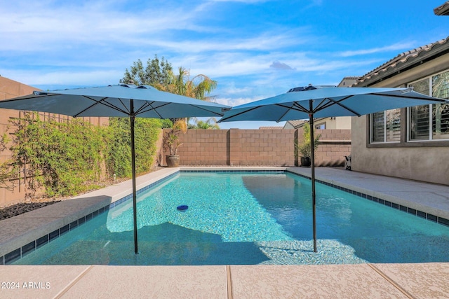 view of swimming pool with a patio area