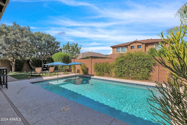 view of pool featuring a patio area