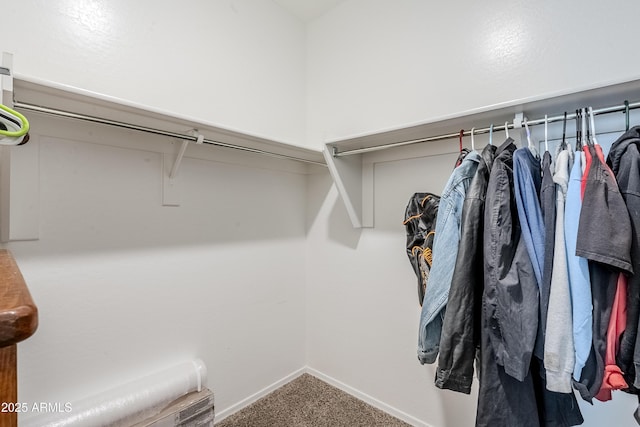 walk in closet with carpet