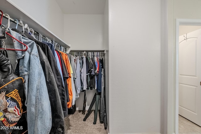 spacious closet with carpet floors