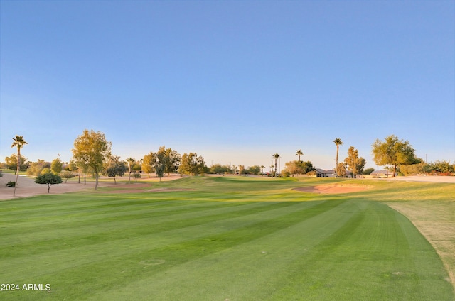 view of community featuring a yard