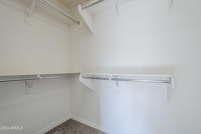 spacious closet featuring carpet flooring