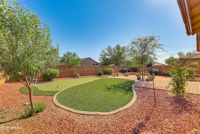 view of yard with a patio