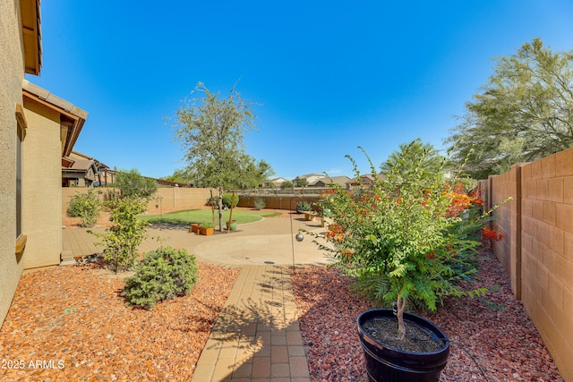 view of yard featuring a patio