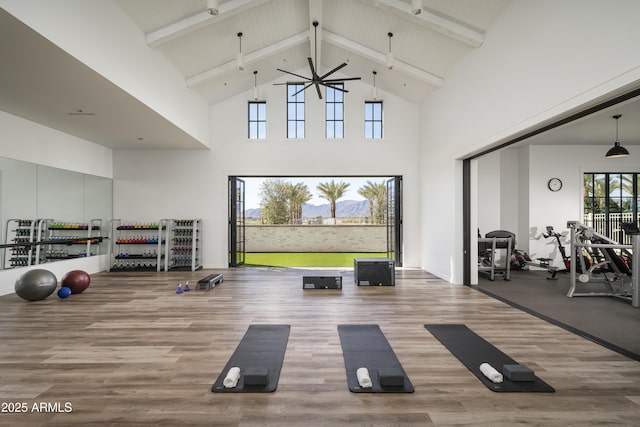 exercise room featuring wood finished floors, high vaulted ceiling, and a ceiling fan
