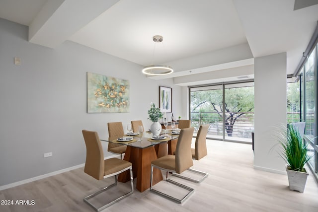 dining room with light hardwood / wood-style floors and plenty of natural light